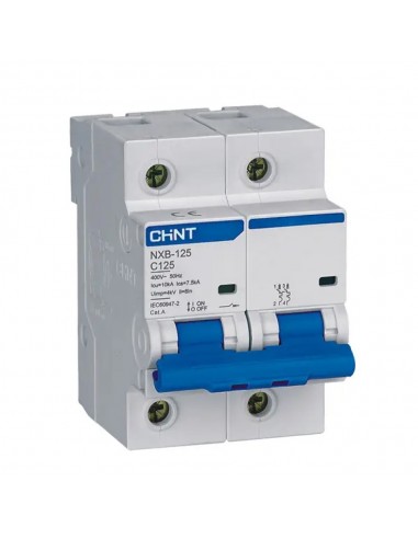 Disjoncteur NXB-125 4P C125 6kA CHINT
