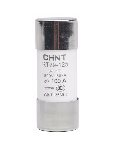 Fusibles Cylindriques 22*58 gG/gL 100A CHINT